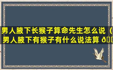 男人腋下长猴子算命先生怎么说（男人腋下有猴子有什么说法算 🌾 命）